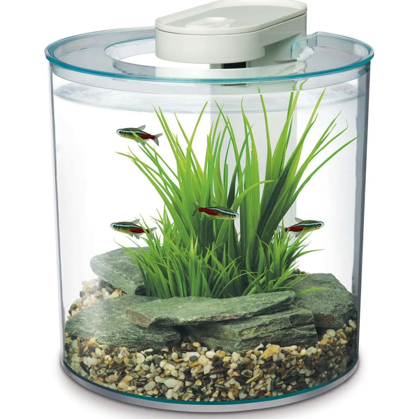 360 Aquarium Kit