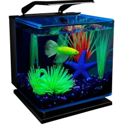 3 Gallon Betta Aquarium Kit