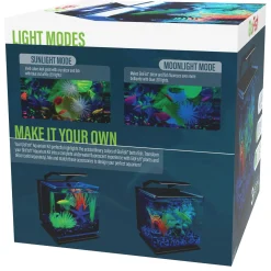 3 Gallon Betta Aquarium Kit