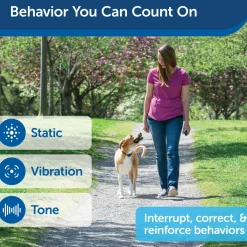 100 Metre Lite Remote Trainer Dog Collar