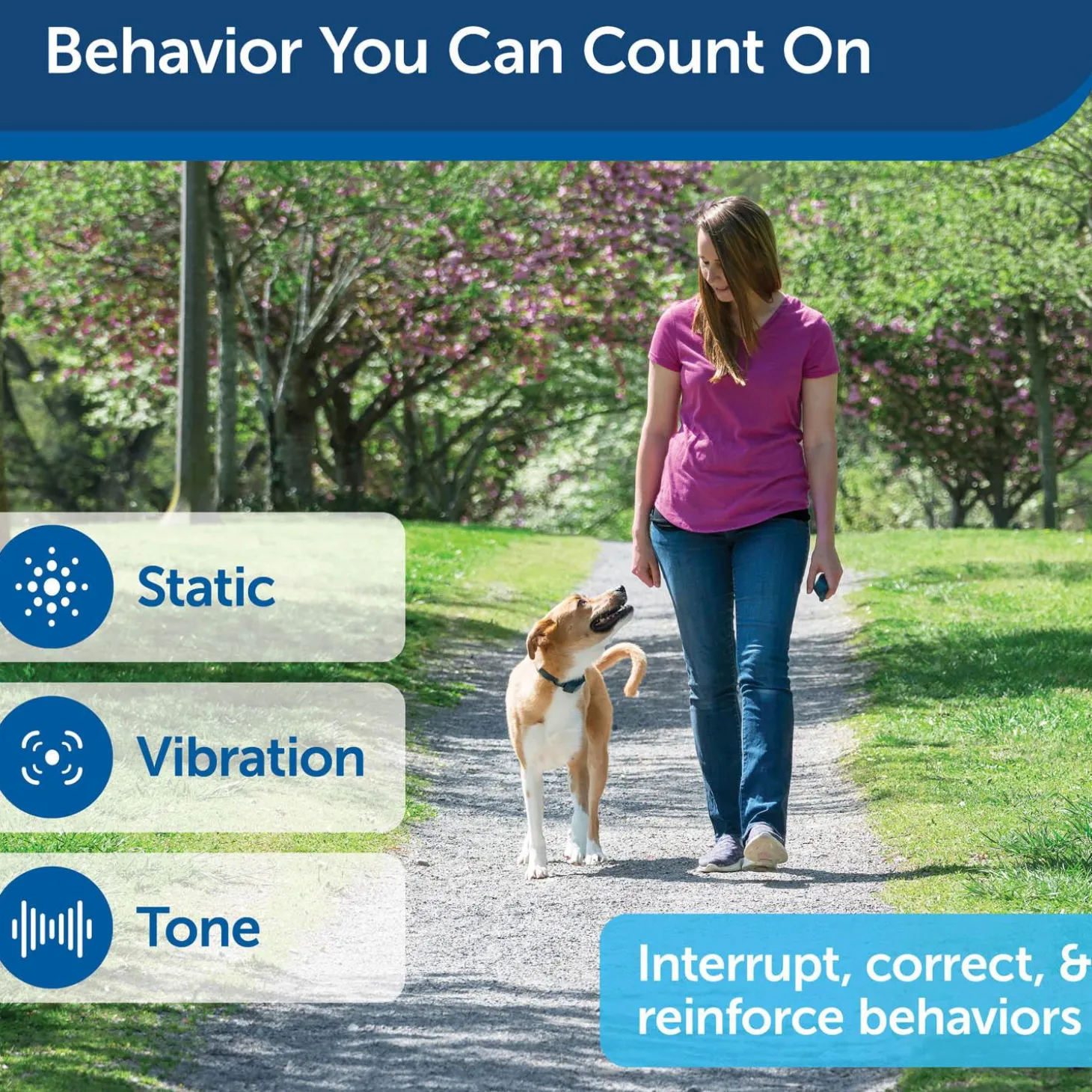 100 Metre Lite Remote Trainer Dog Collar