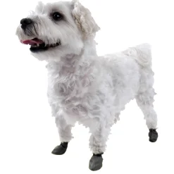 12 Pack Black Rubber Boots