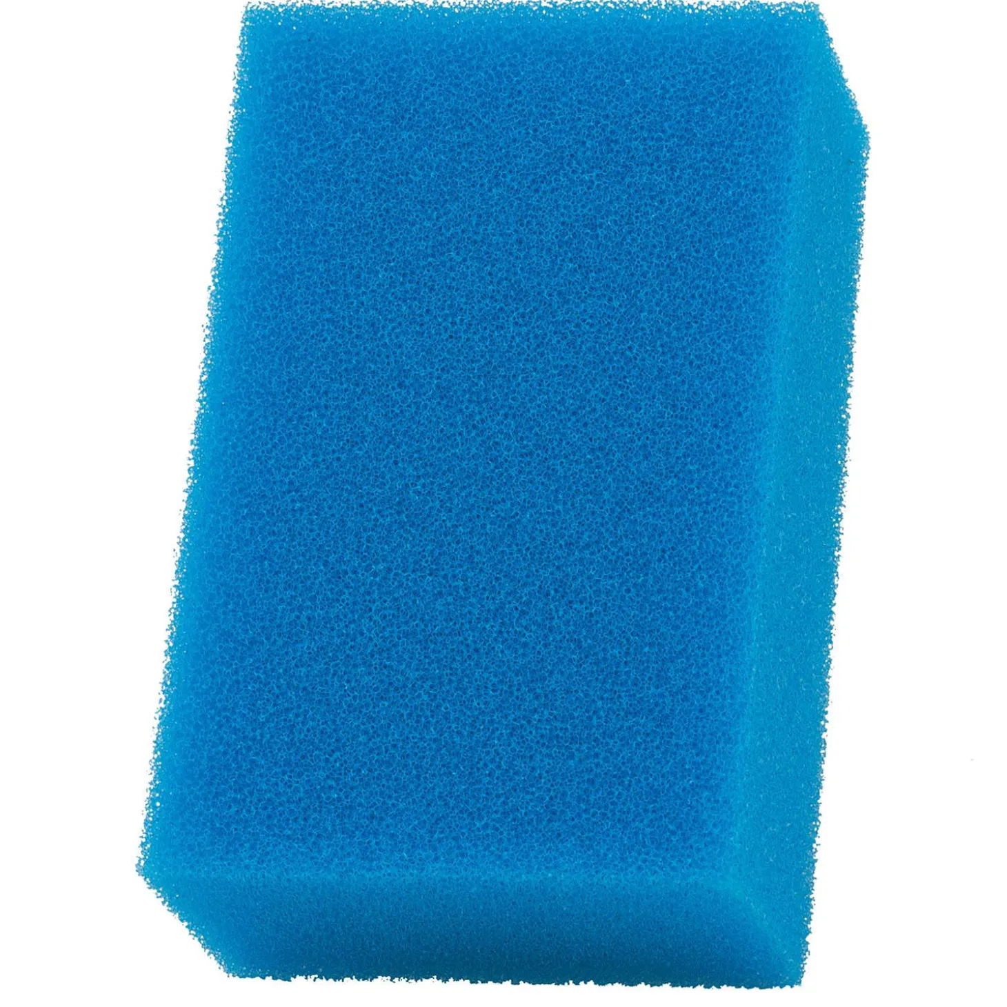 AC 30 Bio-Foam Insert