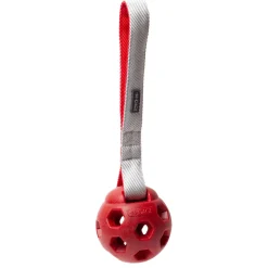 Active Ball Handler Red Dog Toy