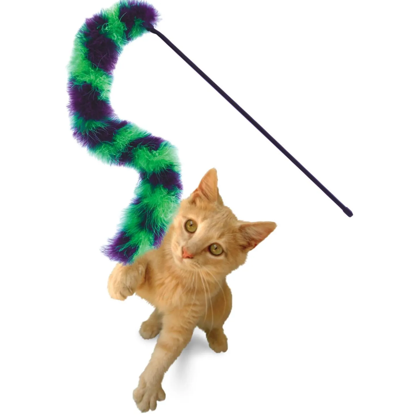 Active Twisted Boa Teaser Cat Toy