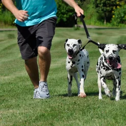 Adjustable 2 Dog Coupler Black