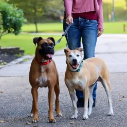 Adjustable 2 Dog Walker Dog Leash 1in Black