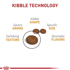 Adult Hair & Skin Care Cat Food