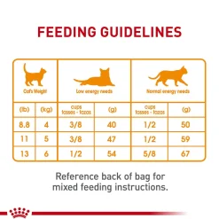 Adult Hair & Skin Care Cat Food