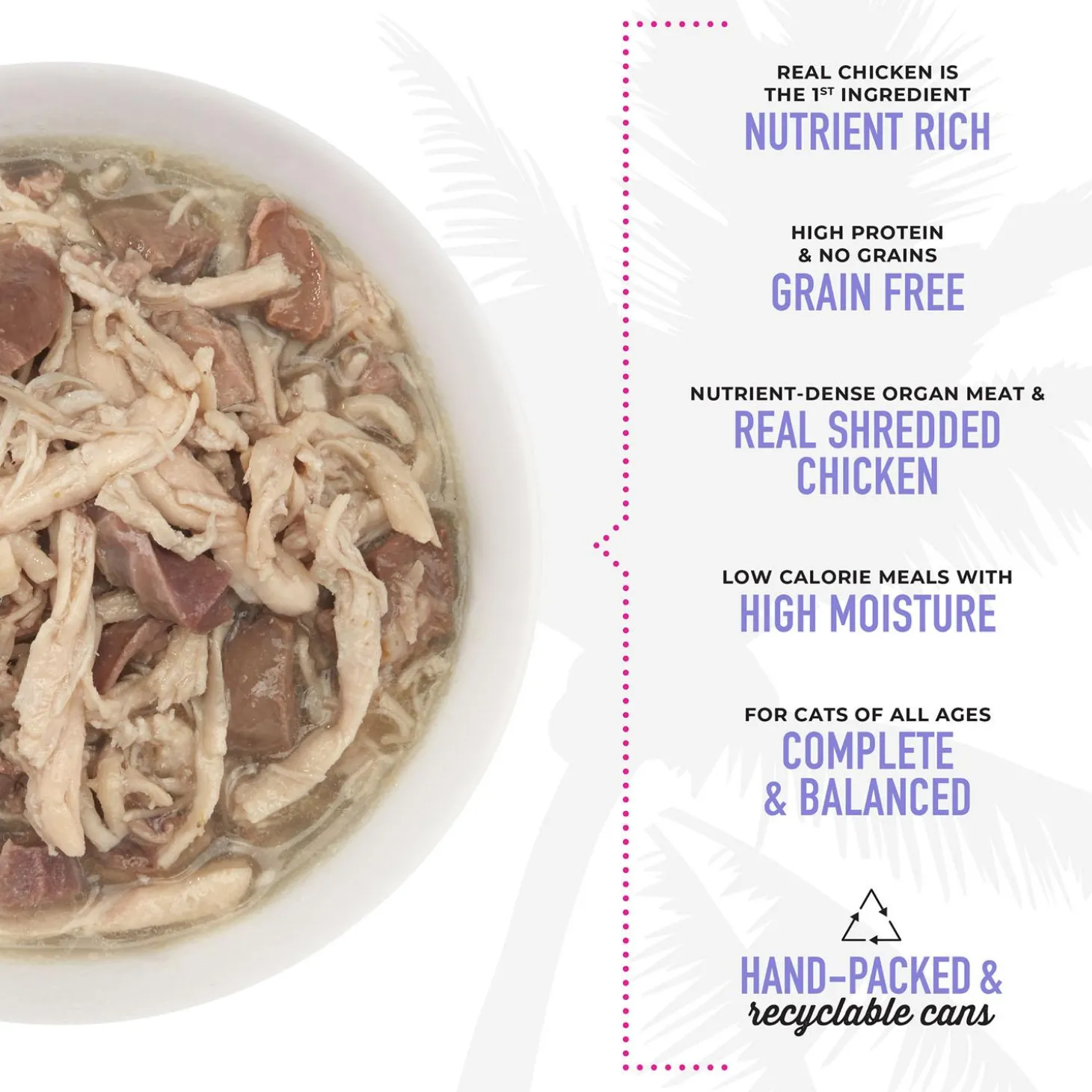 After Dark Chicken & Duck Recipe in Broth Cat Food