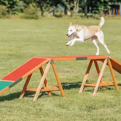 Agility Dogwalk
