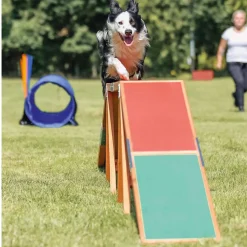 Agility Dogwalk