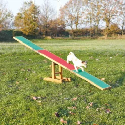 Agility Seesaw