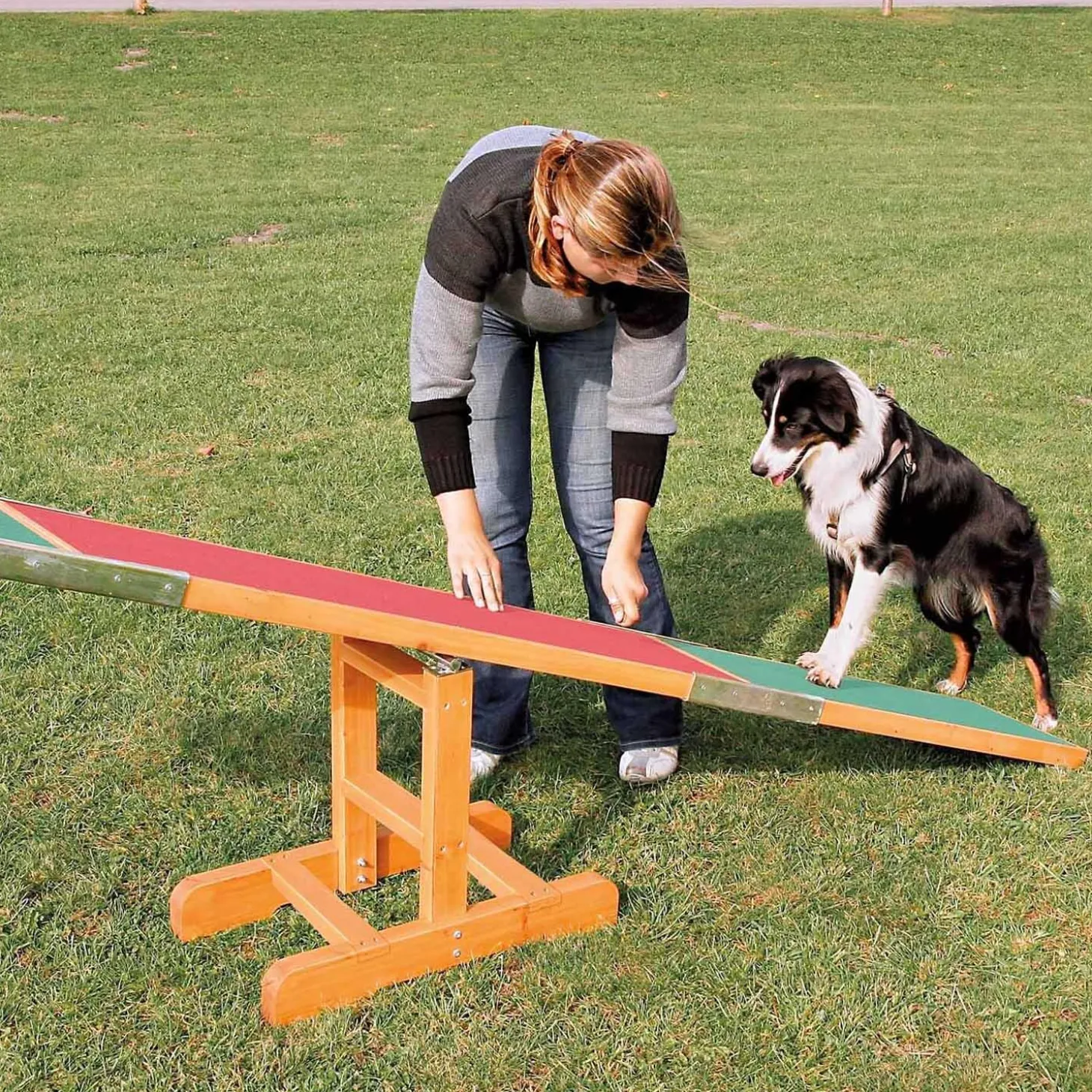 Agility Seesaw