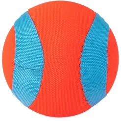 Amphibious Mega Ball Dog Toy