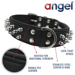 Amsterdam Dog Collar Leather Spiked Midnight Black