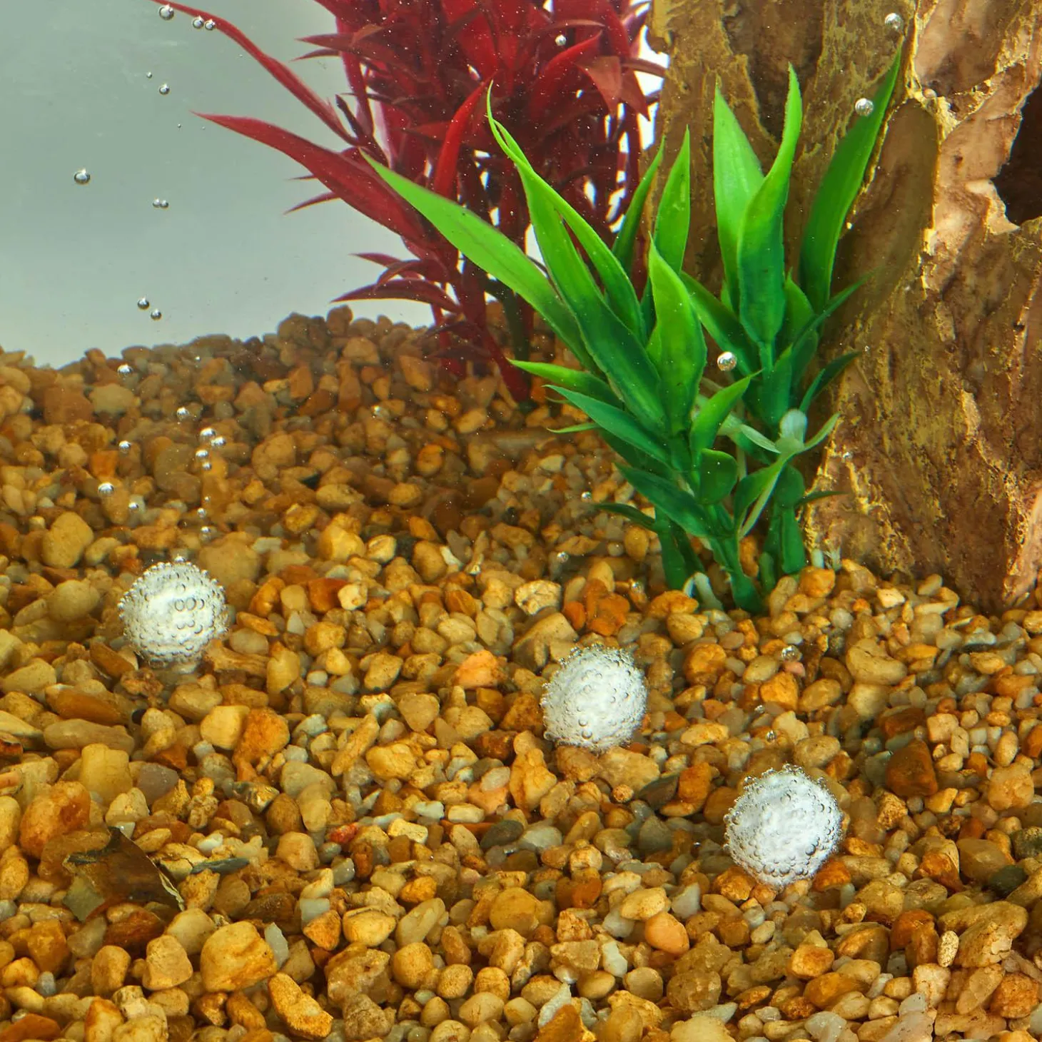 AquaPacs Ammonia Reducer