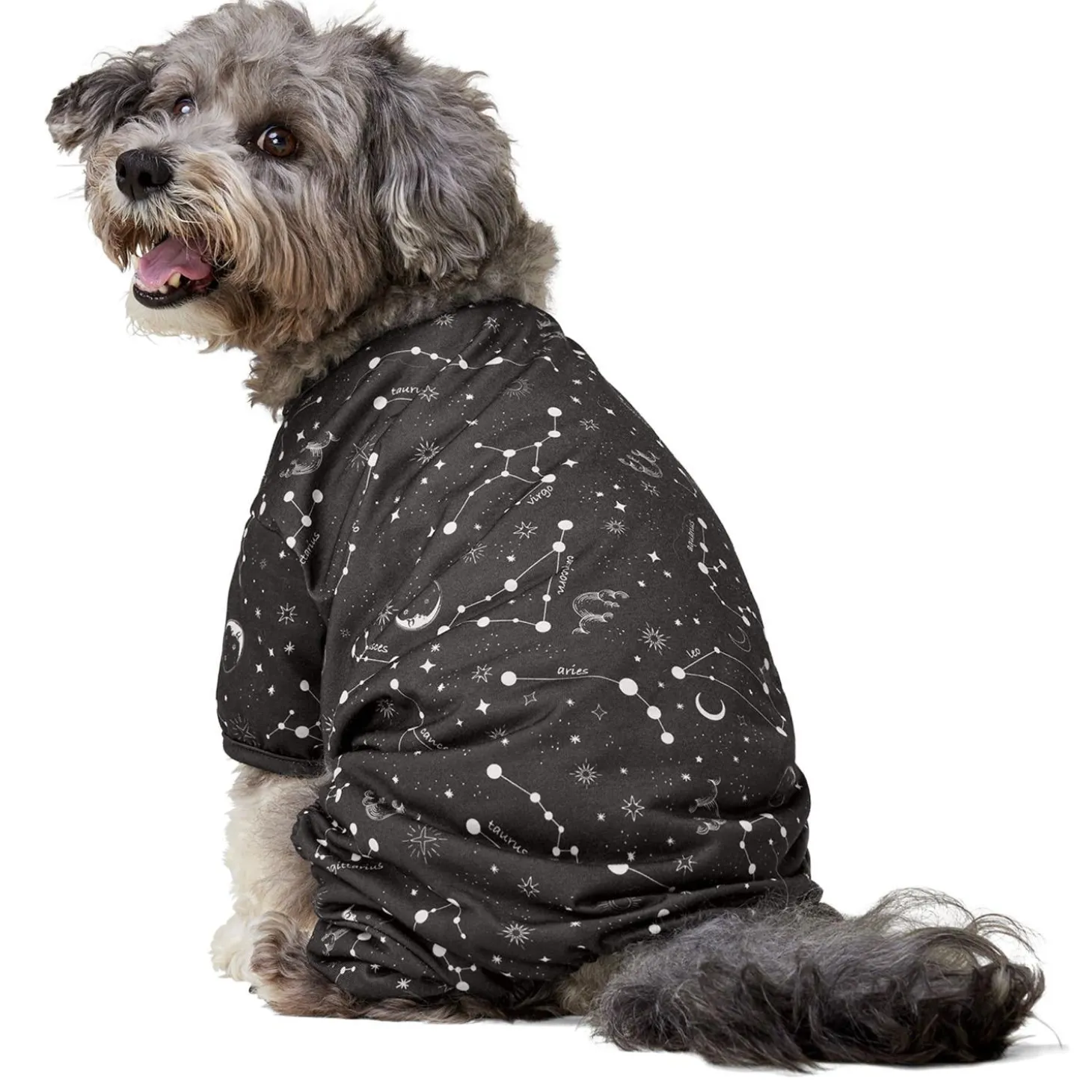 Astrological Grey Onesie