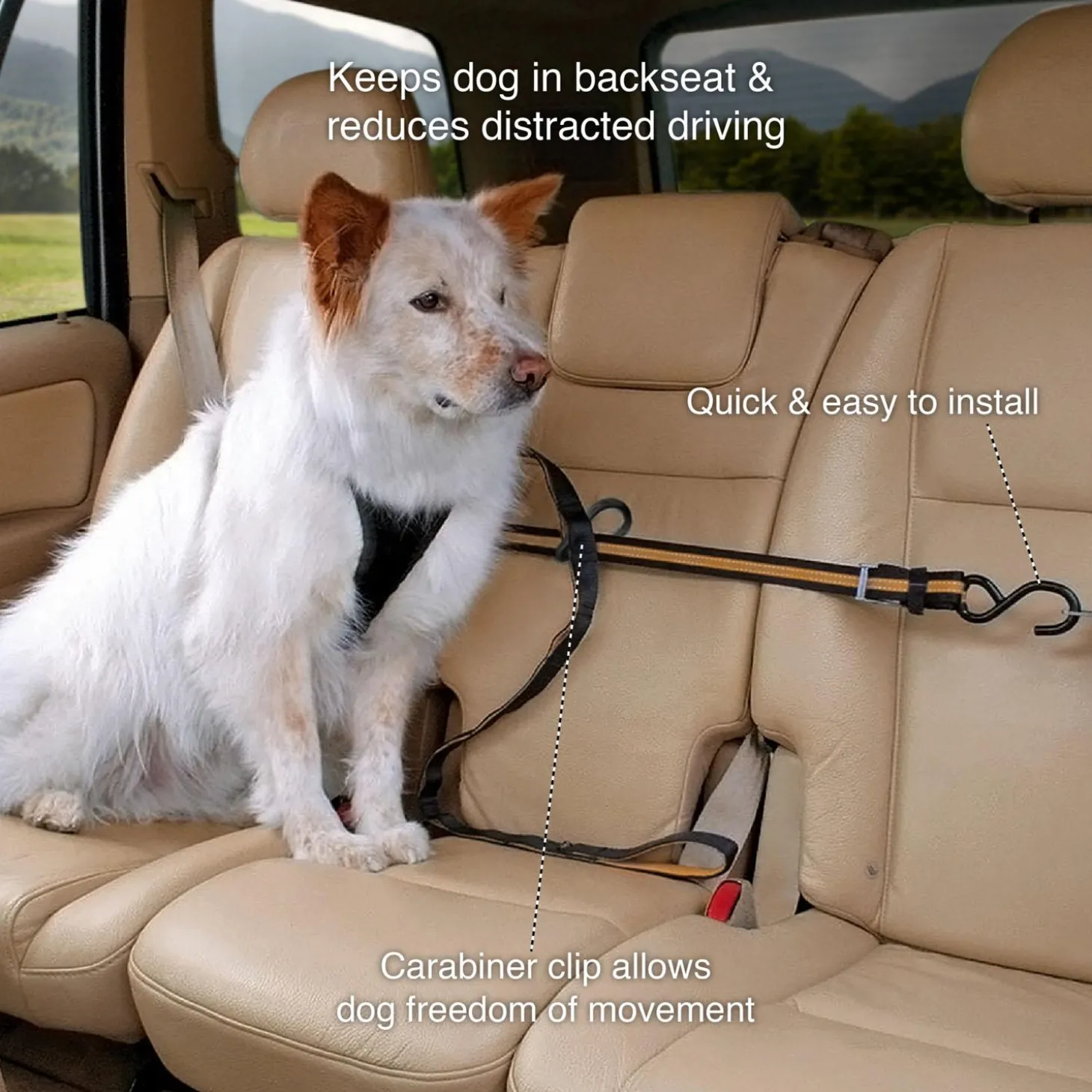 Auto Zip Line With Leash