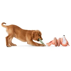 Baby Fox with Rings Dog Toy