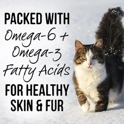 Backcountry Real Chicken Recipe Adult Cat Food