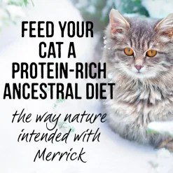 Backcountry Real Chicken Recipe Adult Cat Food