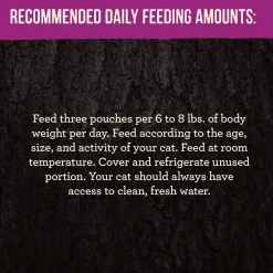 Backcountry Real Turkey Recipe Adult Cat Food