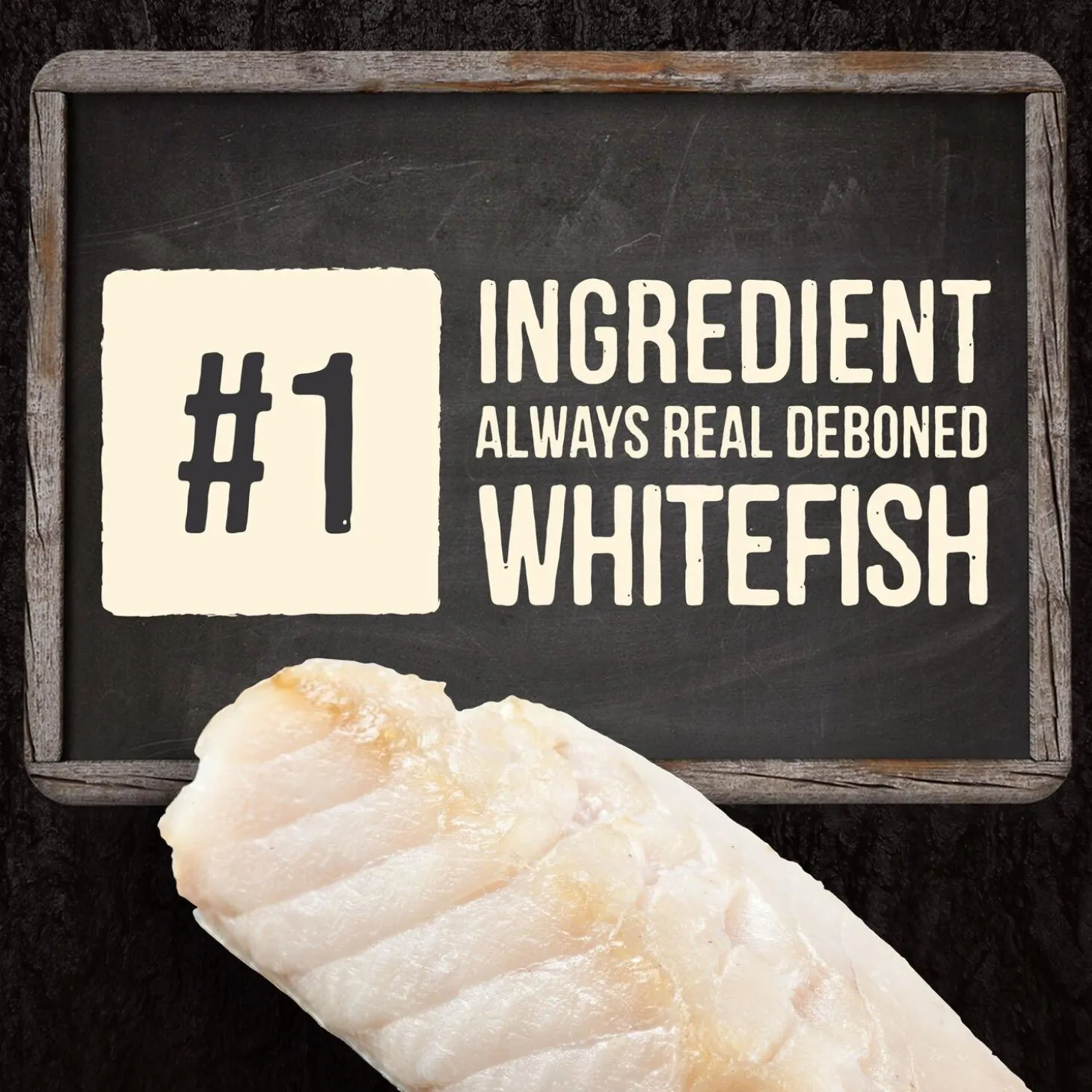 Backcountry Real Whitefish Recipe Adult Cat Food