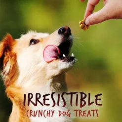 Baked Crispy Bacon & Apple Flavour Dog Treats