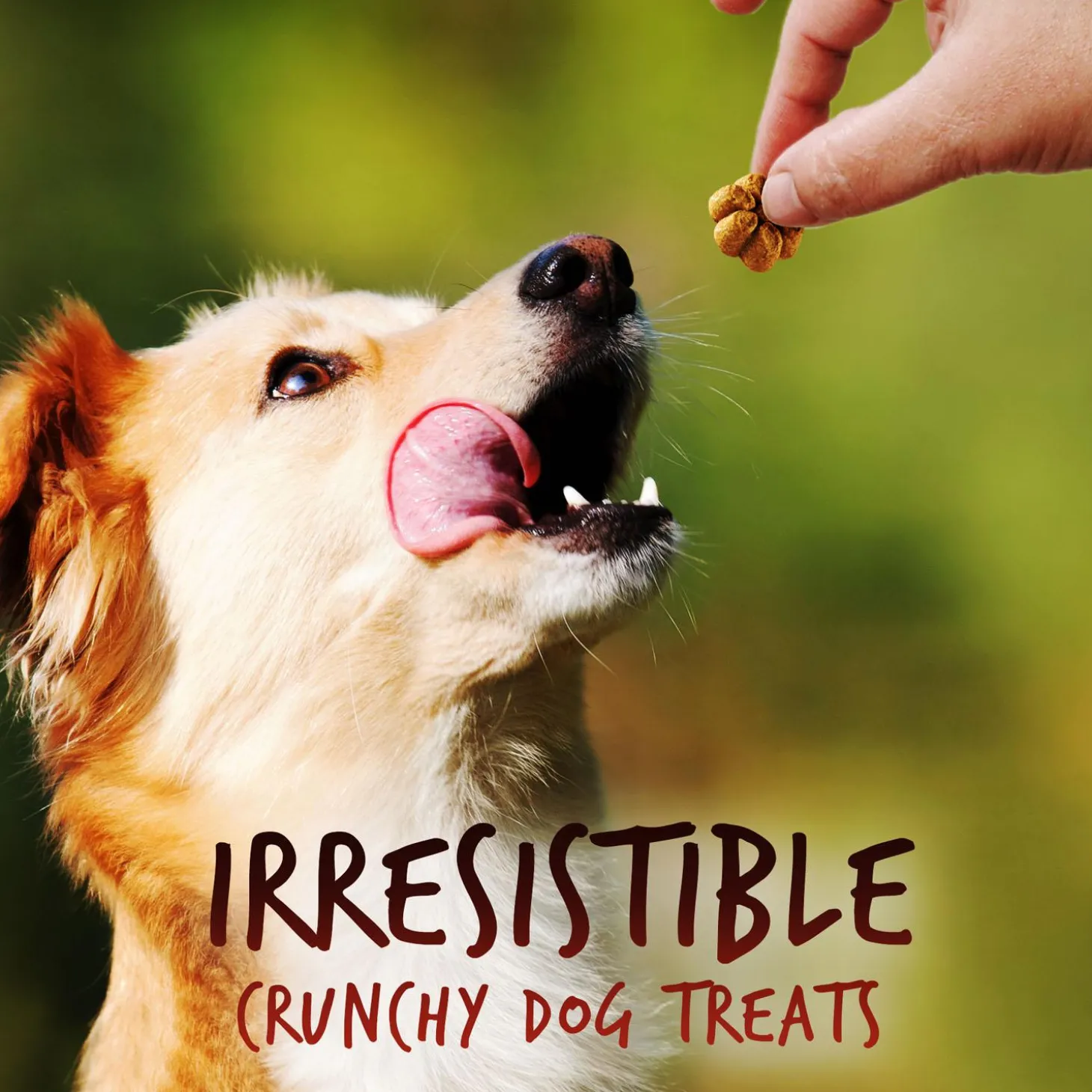 Baked Crispy Bacon & Apple Flavour Dog Treats