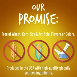 Baked Pumpkin & Banana Flavour Dog Treats