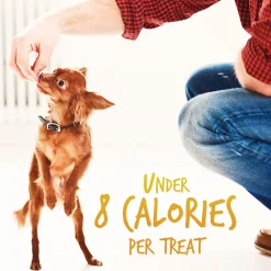 Baked Pumpkin & Banana Flavour Dog Treats