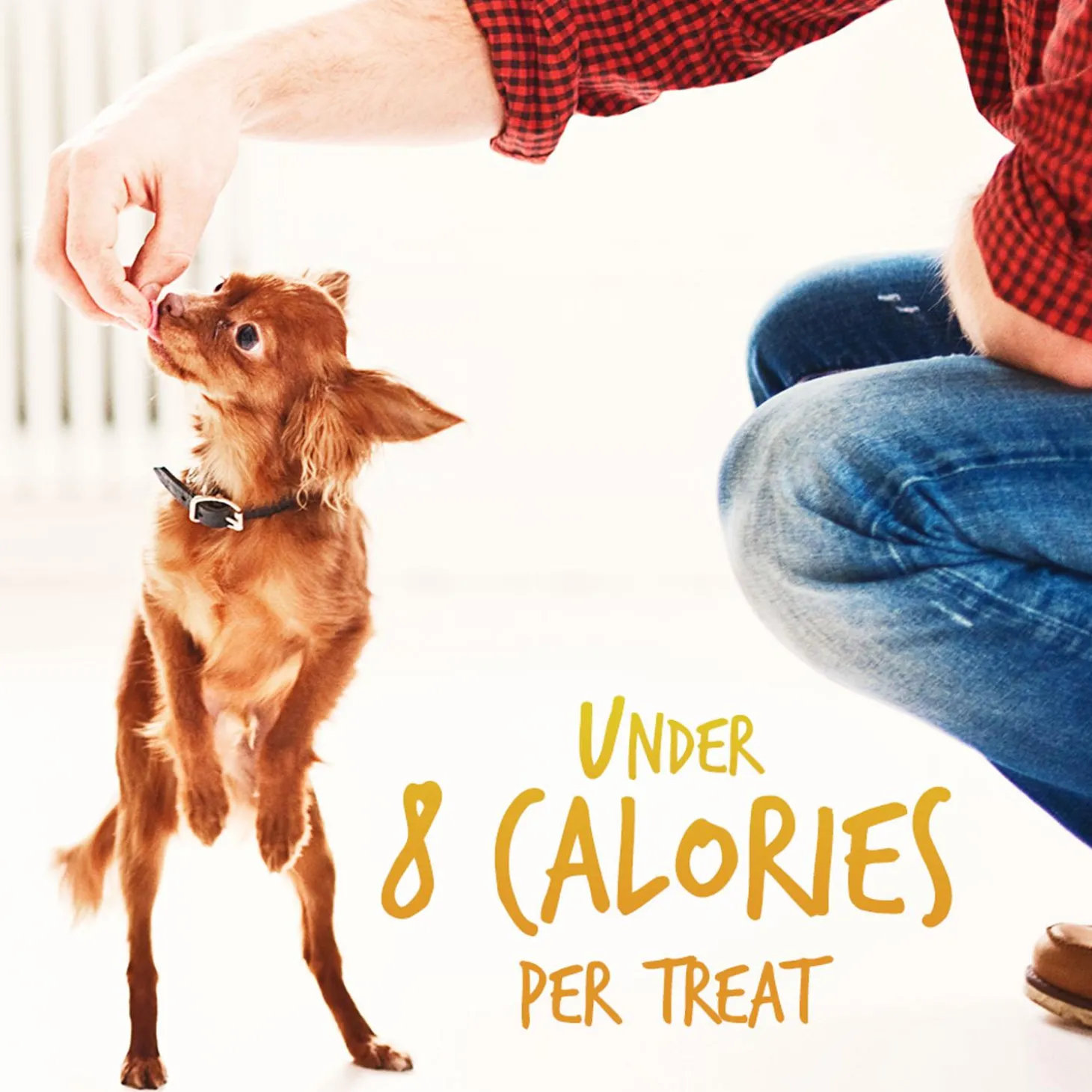 Baked Pumpkin & Banana Flavour Dog Treats