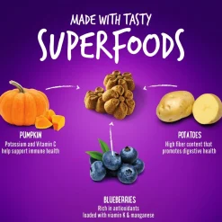 Baked Pumpkin & Blueberry Flavour Dog Treats