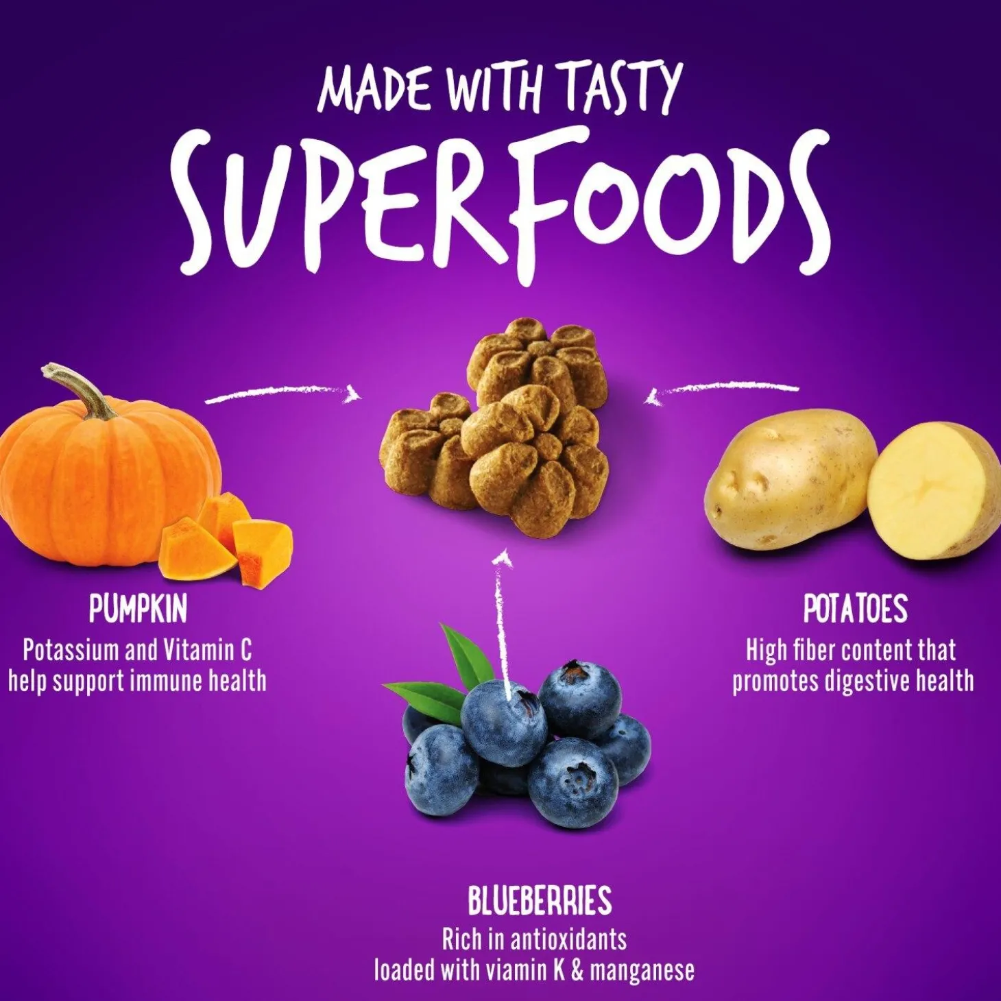 Baked Pumpkin & Blueberry Flavour Dog Treats