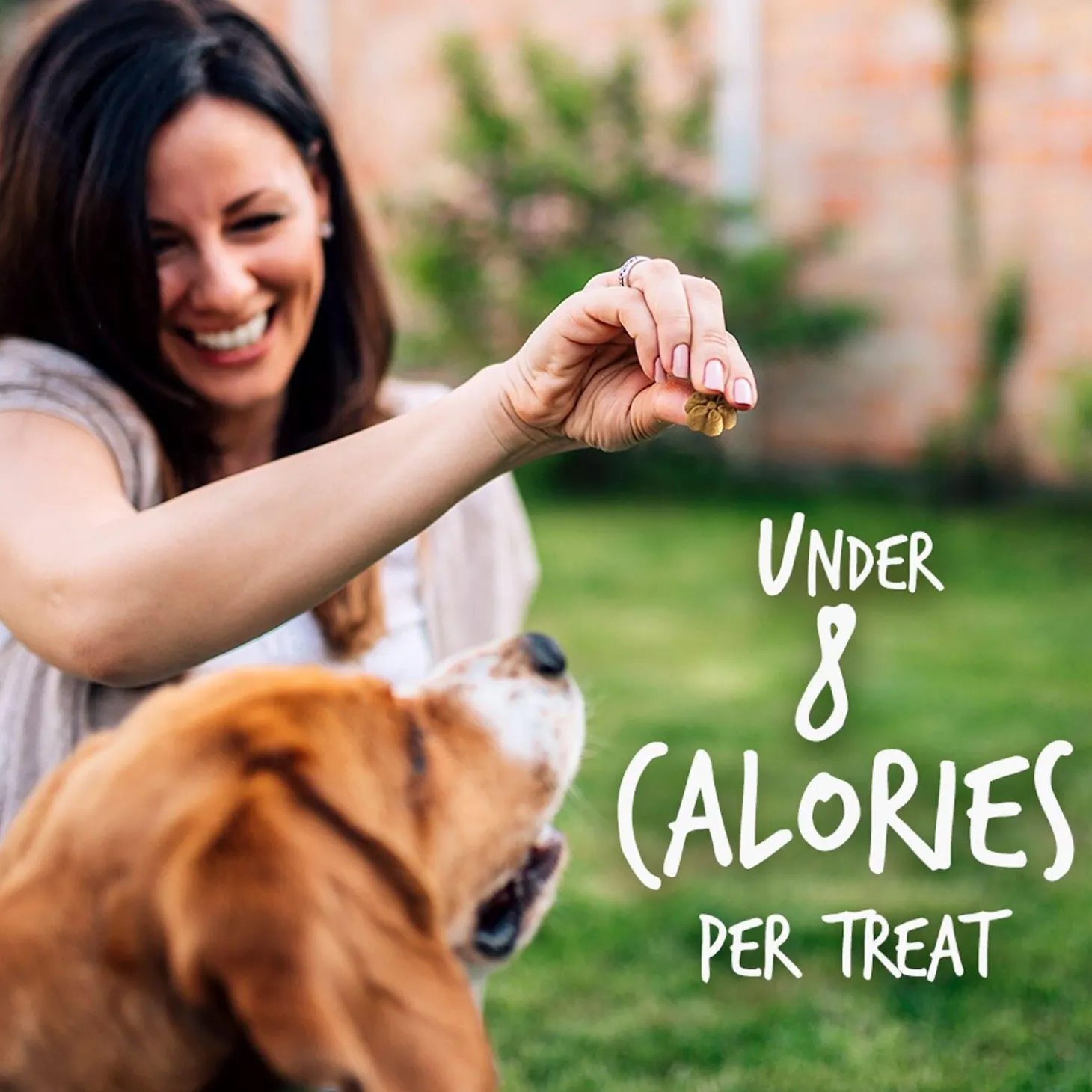 Baked Pumpkin & Blueberry Flavour Dog Treats