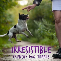 Baked Pumpkin & Blueberry Flavour Dog Treats