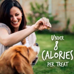 Baked Pumpkin & Cranberry Flavour Dog Treats