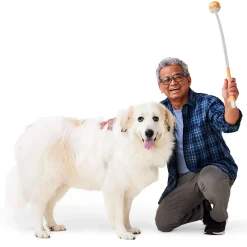 Ball Launcher Dog Toy