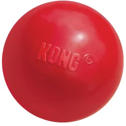 Ball with Hole Dog Toy