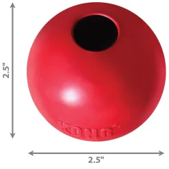 Ball with Hole Dog Toy