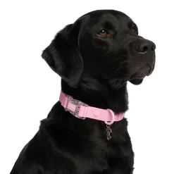 Barbie Waterproof Pink Dog Collar