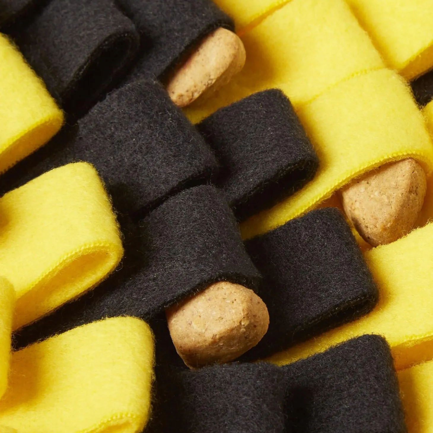 Bee Snuffle Dog Matt