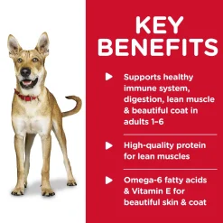 Beef & Barley Entree Adult Dog Food