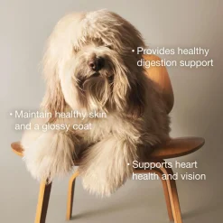 Beef & Rice Dinner Dog Food