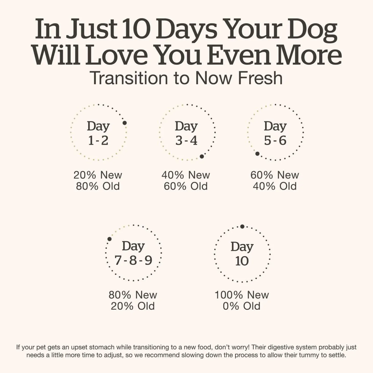 Beef & Rice Dinner Dog Food