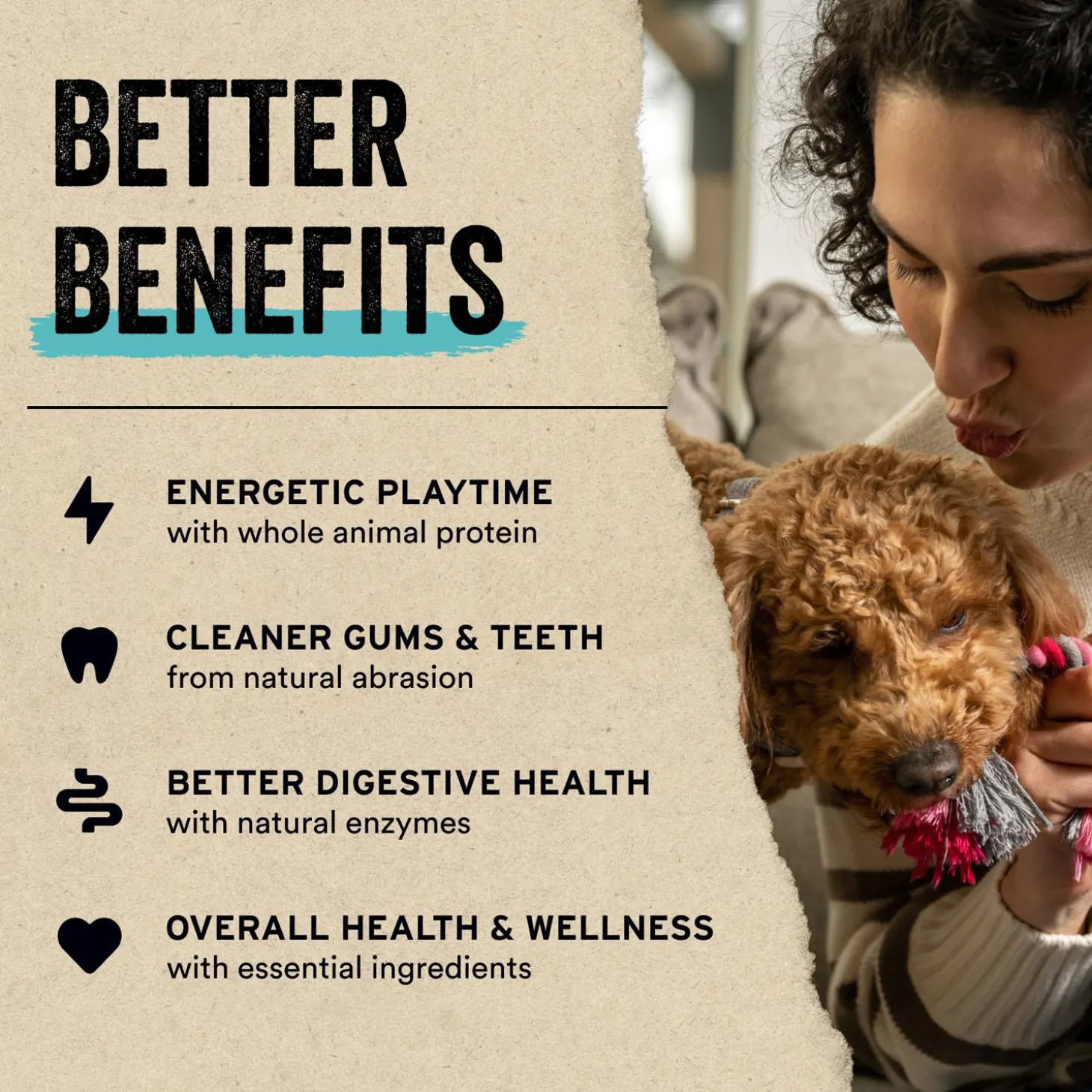 Beef Entree Mini Nibs Dog Food