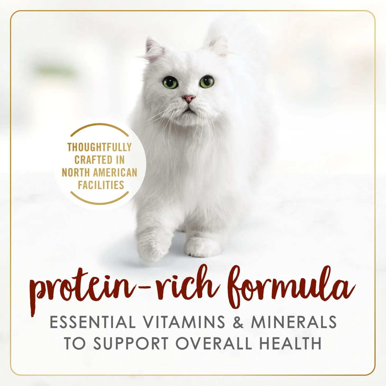 Beef Flavour Feast Pate Adult Cat Food