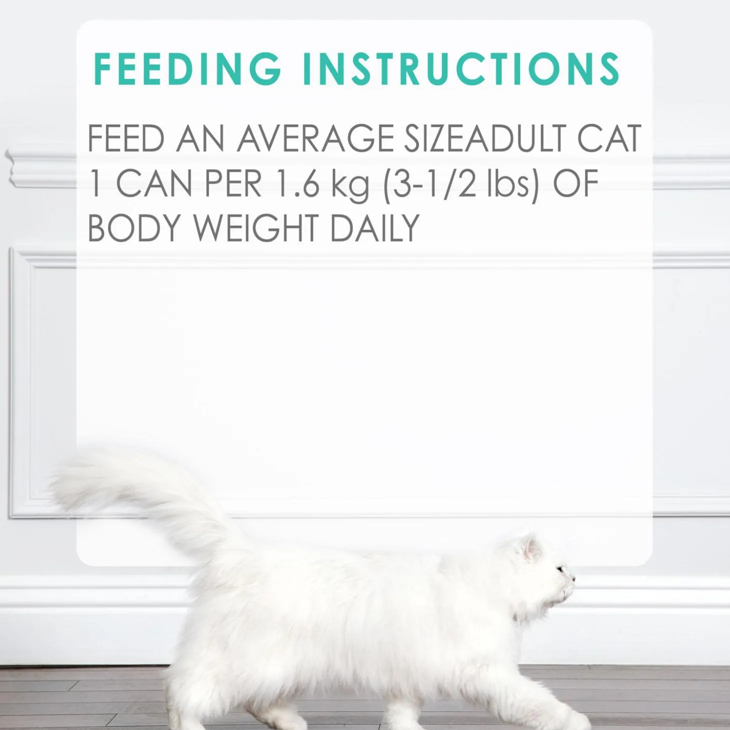 Beef Flavour Feast Pate Adult Cat Food