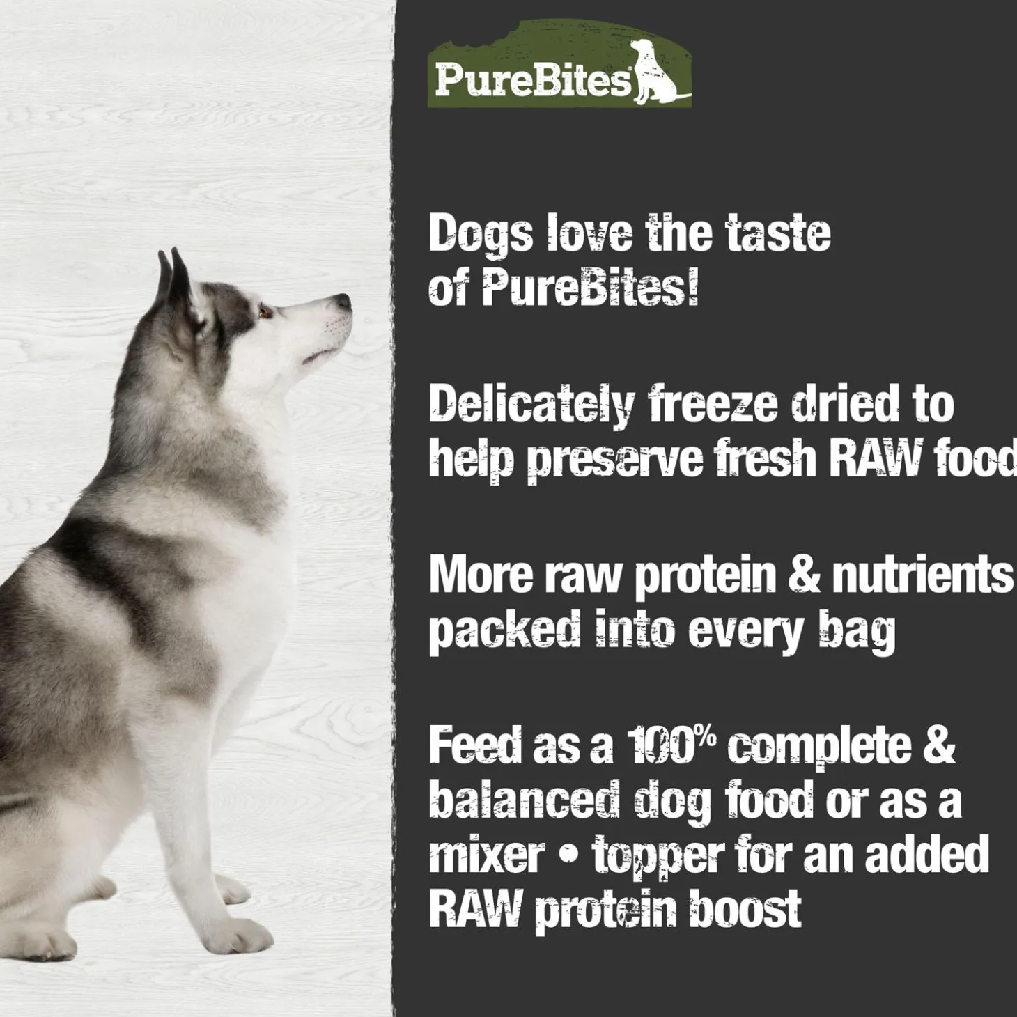 Beef Recipe Dog Food